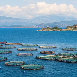 Aquaculture