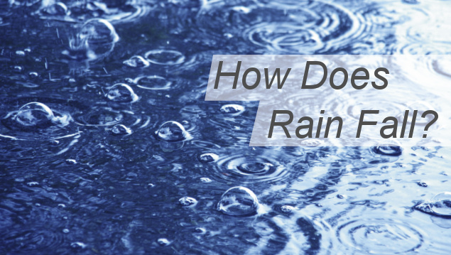 Download “How Does Rain Fall?”